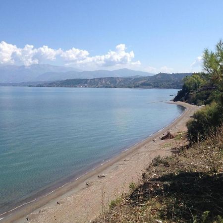 Camping Golden Sunset Alissos Esterno foto