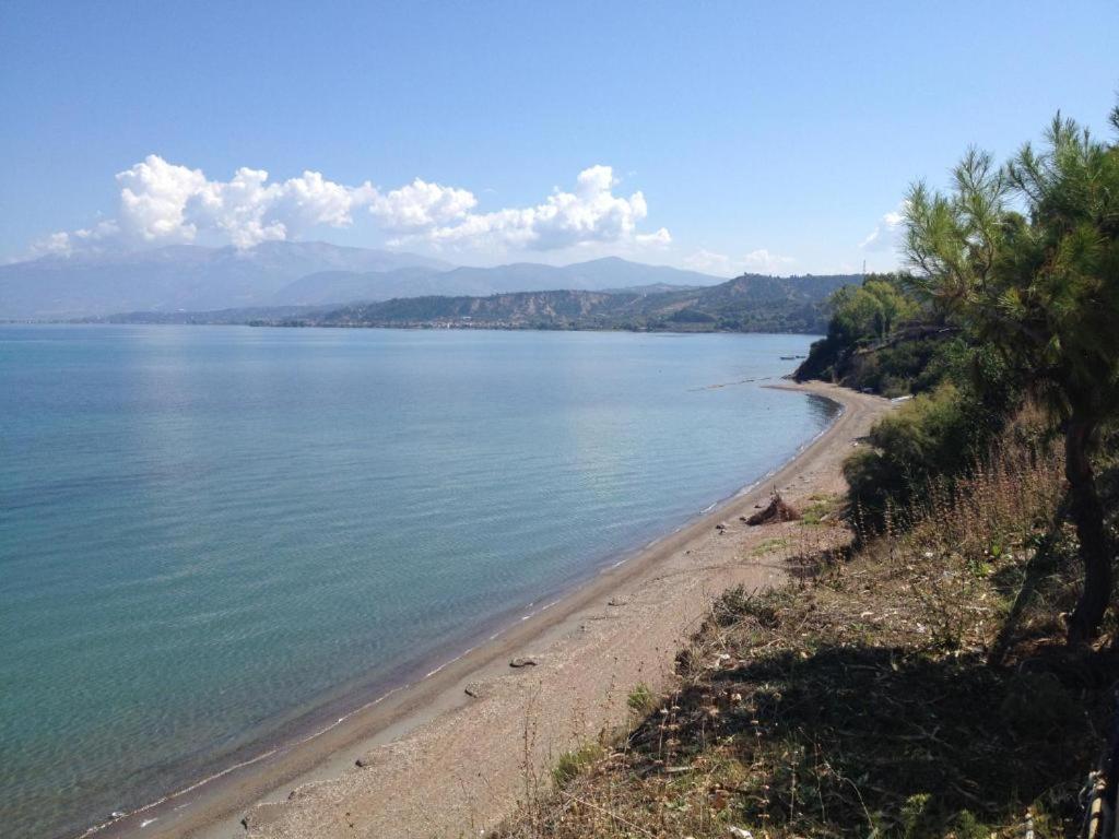Camping Golden Sunset Alissos Esterno foto